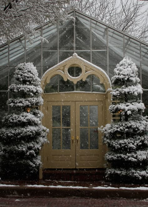 The Conservatory is an all-glass tropical gardenhouse wedding venue located in St. Charles, MO (St. Louis). Conservatory website: GardenWedding.com  #wedding #garden #vintage #rustic #historic #greenhouse #boho #conservatorywedding #StLouis #StCharles Winter Conservatory, Greenhouse Boho, Greenhouse Winter, What Is A Conservatory, Gorgeous Plants, Conservatory Wedding, Glass Conservatory, Plant Watering System, Greenhouse Supplies