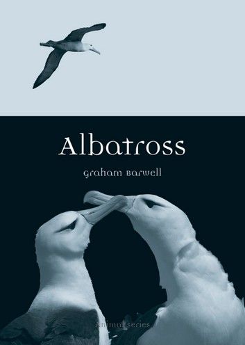 Albatross Bird Wallpaper, Albatross Wallpaper, Posters Ideas, Desi Quotes, John Ruskin, World Birds, Iphone Wallpaper Sky, Bird Book, Bird Poster