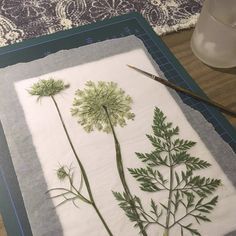 Plant Pressing, Drying Plants, Pounded Flowers, Pressed Botanical Art, Pressed Flowers Diy, Press Flowers, Dried Flowers Diy, Green Board, Pressed Botanicals