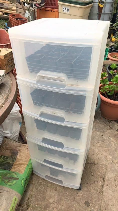 Plastic Drawer Greenhouse, Greenhouse Container Gardening, Seed Starter Ideas, Starter Garden, Portable Garden, Seed Starter, Backyard Greenhouse, Greenhouse Ideas, Gardening Vegetables