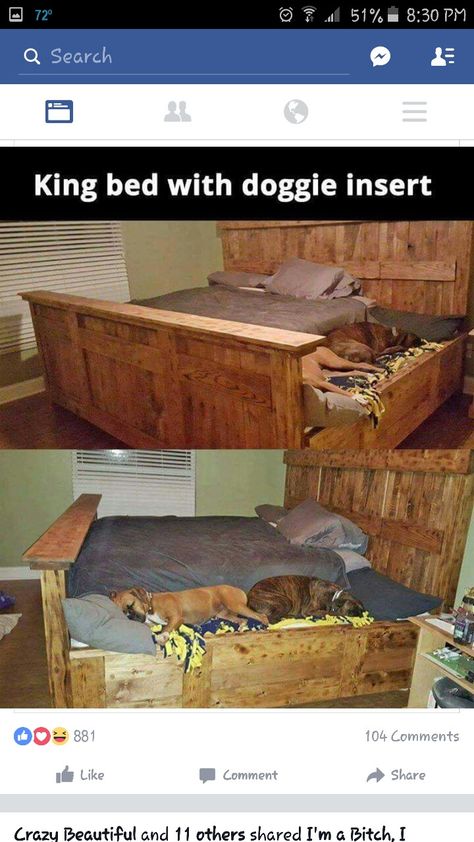 Diy Elevated Dog Bed, Built In Dog Bed, Human Bed, Diy King Bed, Diy King Bed Frame, Dogs Room, Dog Bed Storage, Dogs Bed, Dog Bedroom