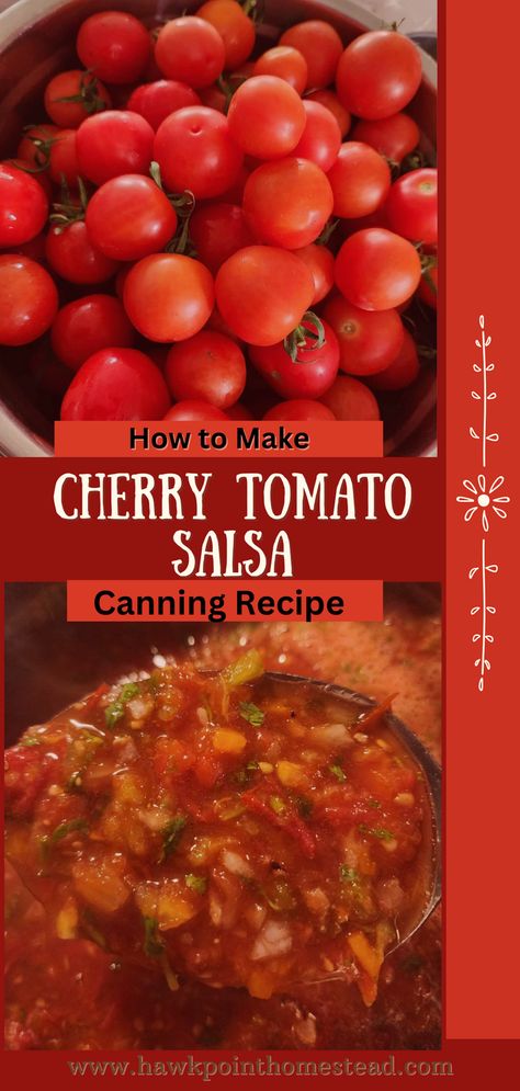 This cherry tomato salsa recipe for canning is so delicious and easy to make. It is so fun to make salsas and sauces from those pretty red cherry tomatoes. Just pop them in the food processor with the other ingredients and off you go. Makes a great gift too for any occasion! Canned Cherry Tomatoes Recipes, Cherry Tomato Salsa Recipe, Tomato Salsa Canning, Salsa Recipe For Canning, Canning Cherry Tomatoes, Canned Salsa Recipes, Salsa Canning Recipes, Best Salsa Recipe, Canning Tomatoes Recipes