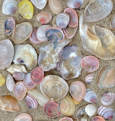 Colourful Asthetic Pics, Beach Nature Aesthetic, Cool Colors Aesthetic, Bright Color Aesthetic, Sandy Hair, Aurora Design, Colorful Aesthetic, She Sells Seashells, Tan Lines