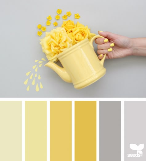 Color Create | design seeds | Bloglovin’ Beige And Yellow Color Palette, Colour Palette With Grey, Yellow Palette, Seeds Color, Visual Merchandiser, Yellow Colour Scheme, Flora Design, Color Palette Yellow, Autumn Design