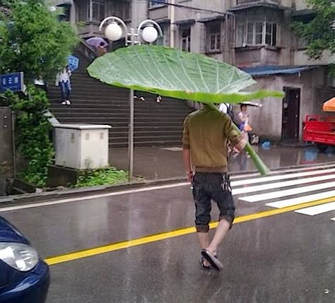 giant leaf umbrella, diy umbrella for Arietty Dik Dik, 9gag Funny, 카드 디자인, School Memes, Anime Memes Funny, Anime Meme, Disney Memes, Miyazaki, Studio Ghibli