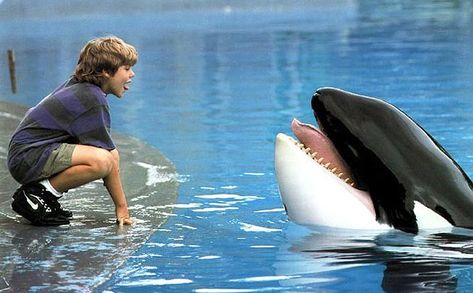 Free Willy Free Willy Movie, Les Goonies, Petite Blonde, Free Willy, Orca Whale, Chad Michael Murray, 90s Movies, Orca Whales, Kids' Movies