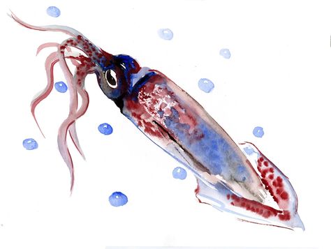 Squid Animal Artwork Watercolor Painting Underwater Scene - Etsy Squid Painting, Squid Animal, Painting Underwater, Underwater Scene, Artwork Watercolor, Art For Children, Animal Artwork, Nautical Wall Art, Nautical Wall