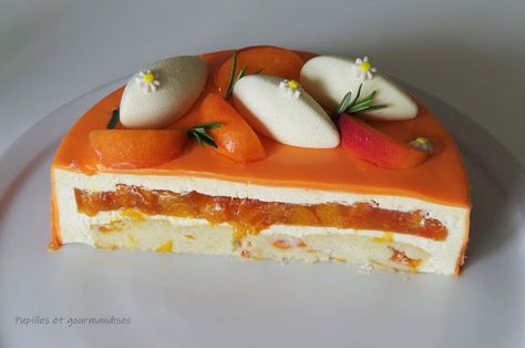 Entremets Abricot & vanille Entremet Fruit, Mini Entremet, Decorating Desserts, Mirror Glaze Cake Recipes, Summer Cake Recipes, Holiday Desserts Christmas, Desserts Cake, Tart Baking, Modern Cakes