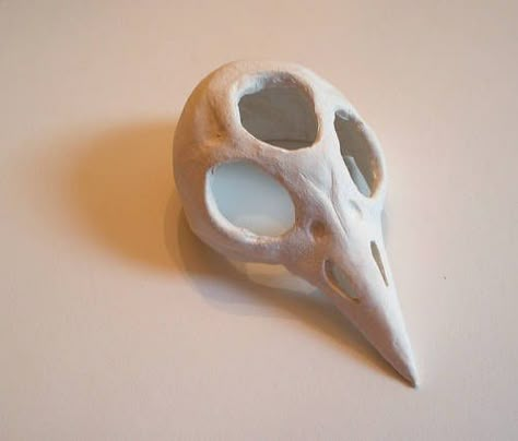 Clay Bird Skull, Clay Bird, Sculpture Art Clay, Clay Diy Projects, Keramik Design, Bird Skull, Ceramics Pottery Art, Clay Art Projects, Ceramics Ideas Pottery