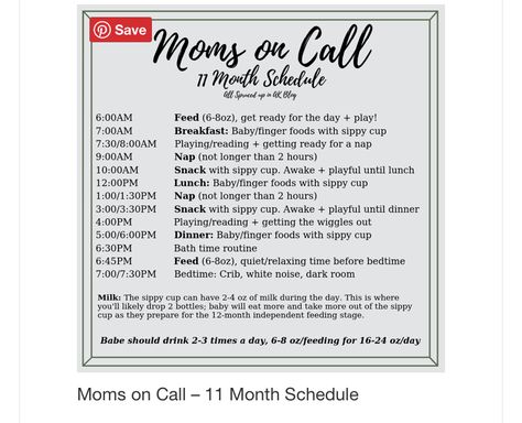 Moms On Call Schedule, 10 Month Old Schedule, Moms On Call, Newborn Sleep Schedule, Newborn Schedule, Baby Schedule, Baby First Foods, Baby Finger Foods, Baby Care Tips