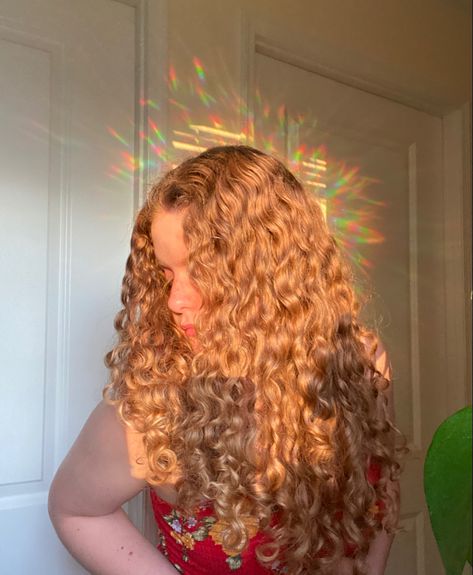 Curly Golden Hair, Golden Curly Hair, Golden Hair Color, Poofy Hair, Curls Hair, Big Curly Hair, Colored Curly Hair, Strawberry Blonde Hair, Golden Hair