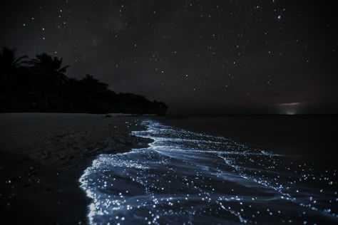 Aquarius Aesthetic Wallpaper Laptop, Stars Reflecting On Water, Stars On The Beach, High Quality Space Wallpaper, Ethereal Laptop Wallpaper, Blue Hour Wallpaper Desktop, Moon Aesthetic Wallpaper Desktop, Cool Wallpapers Computer, Ethereal Aesthetic Wallpaper Desktop