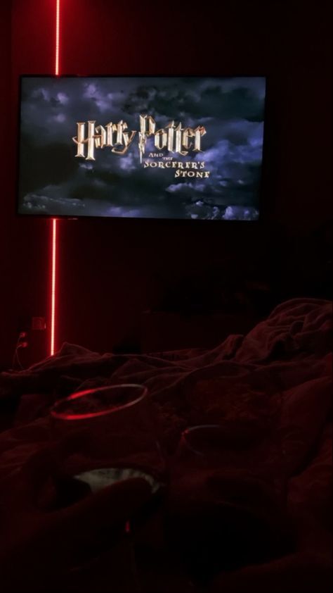 Harry Potter Stone, Netflix And Chill Tumblr, Harry Potter Movie Night, Hp Movies, Study Tips For Students, Harry Potter Room, Harry Potter Aesthetic, Harry Potter Quotes, Photos Tumblr