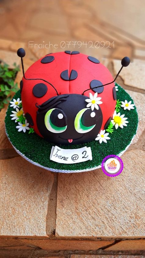 Ladybird Cake Ideas, Lady Bird Cake, Ladybug Cake Ideas, Ladybug Birthday Cupcakes, Ladybug Birthday Cake, Square Nails Ideas, Bug Birthday Cakes, Ladybird Cake, Ladybug Cakes