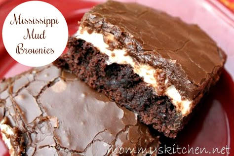 Mississippi Mud Brownies, Mud Brownies, Chocolate Icing Recipes, Cake Like Brownies, Frosted Brownies, Homemade Chocolate Fudge, Homemade Chocolate Frosting, Brownie Frosting, Marshmallow Frosting