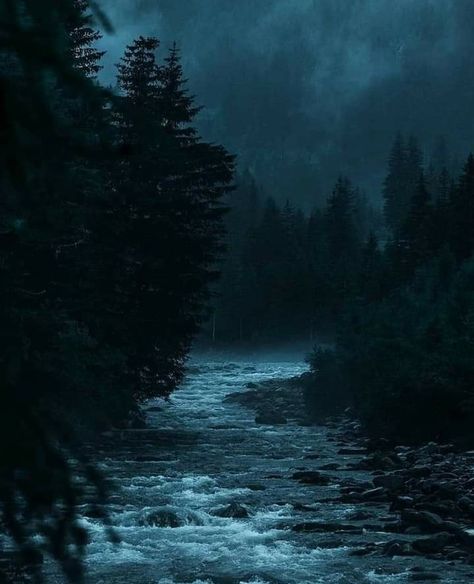 Mountains At Night, Dark Naturalism, Dark Forest Aesthetic, Twilight Aesthetic, Dark Landscape, Forest Aesthetic, Foggy Forest, Dark Nature, Dark Nature Aesthetic