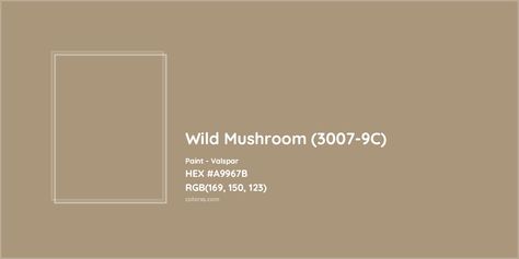 HEX #A9967B Wild Mushroom (3007-9C) Paint Valspar - Color Code Valspar Mushroom Paint Colors, Pantone Tcx, Valspar Colors, Paint Color Codes, Analogous Color Scheme, Rgb Color Codes, Rgb Color Wheel, Hexadecimal Color, Mushroom Paint