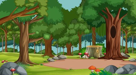 Jungle Cartoon, Animal Cartoon Video, Forest Cartoon, Cartoon Garden, Animation Ideas, Photoshop Backgrounds Backdrops, Forest Backdrops, Forest Plants, Forest Background