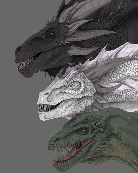 here are the three dragons of the conquest of Aegon Balerion, Meraxes and Vhagar🖤🤍💚 I would do it again book version📖🐲 #balerion… | Instagram Balerion The Black Dread, Three Dragons, Drogon Game Of Thrones, Game Of Thrones Artwork, Game Of Thrones Dragons, Got Dragons, Fire And Blood, Mythical Dragons, Dragon Artwork Fantasy