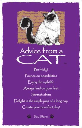 Advice from a Cat – Witches Of The Craft® 365 Jar, Animal Spirit Guides, Advice Quotes, Cat Quotes, Animal Totems, True Nature, Animal Quotes, Spirit Guides, Book Of Shadows