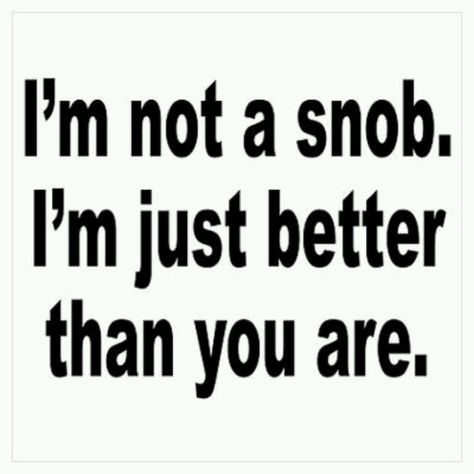 :) Snobby Aesthetic, Snob Quotes, Slytherin Quotes, Wall Art Posters, Quotes By Authors, Better Person, Quotes That Describe Me, Describe Me, Story Inspiration