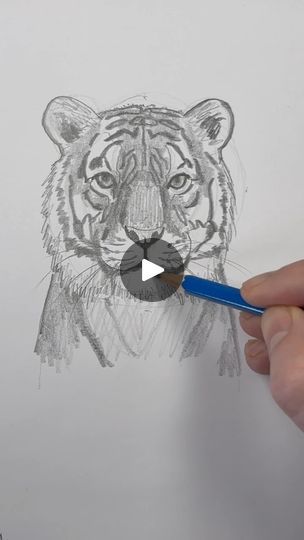 5.7K views · 750 reactions | Draw a tiger 🐯 Easy step-by-step drawing lesson for beginners on how to draw a tiger. #drawinglesson #howtodraw #drawtiger | Draw a tiger 🐯 Easy step-by-step drawing lesson for beginners on how to draw a tiger. #drawinglesson #howtodraw #drawtiger | By Mark Liam Smith | Facebook How To Draw A Tiger Step By Step, How To Draw A Tiger, Tiger Drawing Sketches, Tiger Drawing For Kids, Tiger Drawing Easy, Tiger Painting Acrylic, Easy Tiger Drawing, Tiger Face Drawing, Tiger Art Drawing