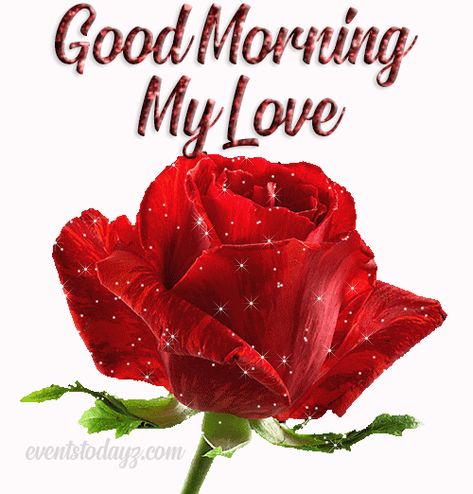 Good Morning My Love Gif, Gud Morning Wishes, Good Morning My Sunshine, Passion Gif, Graphic Design Is My Passion, Good Morning Handsome Quotes, Morning My Love, Romantic Good Morning Messages, Morning Handsome