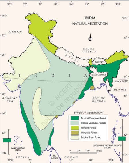 Natural Vegetation In India: Features, Distribution And Habitat Different Types Of Forests, Natural Vegetation, Types Of Forests, Birthday Bestie, Happy Birthday Bestie, Forest Ecosystem, Astronomy Facts, Devi Images Hd, Natural Farming