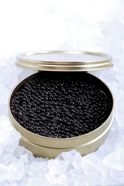 RUSSIAN firms will be banned from selling caviar, wood and silver to Britain under a new trade crackdown. Vladimir Putin and his Ukraine invasion partner Belarus will also face high tariffs on diamonds and rubber. Foreign Secretary Liz Truss said: “Today’s sanctions hits the generals and defence companies that have blood on their hands.” A […] Beluga Caviar, Fish Ball, Plenty Of Fish, Fancy Food, Black Caviar, Fried Fish, Health Benefits, A Table, The Good Place