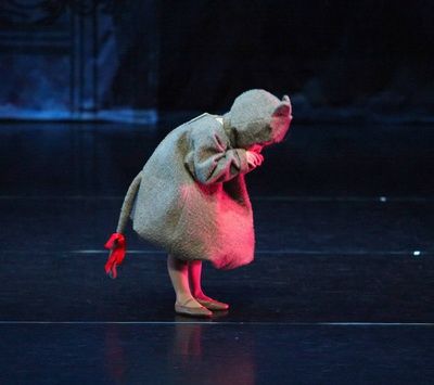 Goth Nutcracker, Nutcracker Mice, Dot And The Kangaroo, Rat Costume, Wonderland Design, Nutcracker Costumes, The Tick, Field Mouse, Mouse Costume