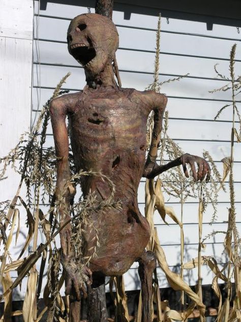 Static: Decomposed/ing skeleton. Halloween Sculptures, Pumpkin Song, Haunted Hayride, Halloween Tricks, Yard Haunt, Zombie Party, Haunted Halloween, Halloween 2015, A Skeleton