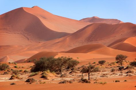 South Africa Vacation, Africa Vacation, Namib Desert, Mount Kilimanjaro, Desert Landscapes, Watercolor Ideas, People Of The World, Desert Landscaping, World Building