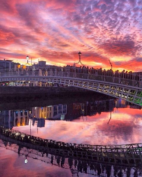 Have you ever seen Dublin looking so spectacular? Tap this image to visit our Instagram account for more stunning Ireland travel photography. Dublin Bridge, Backpacking Europe, Amazing Sunsets, Amazing Photo, Europe Travel Destinations, Travel Pins, Europe Travel Tips, Ireland Travel, Travel Deals