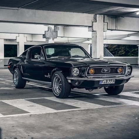 (99+) Recommended for you on Tumblr Old Classic Trucks, 240z Datsun, 68 Ford Mustang, 68 Mustang, Mobil Mustang, Black Mustang, Muscle Cars Mustang, Old Muscle Cars, Ford Mustang Boss