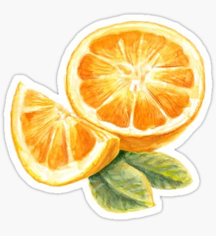 Orange fruit Sticker Santa Filomena, Eid Card Designs, Scrapbook Printing, Stickers Redbubble, Watercolor Stickers, Scrapbook Stickers Printable, Sticker Template, Food Stickers, Orange Fruit