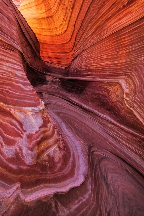 The Wave of Northern Arizona | Adam Schallau Photography Desert Waves, The Wave Arizona, Wave Rock, Colorful Mountains, Northern Arizona, Organic Art, National Monuments, Antelope Canyon, Geology