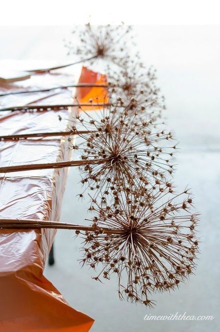 how to create gorgeous metallic painted dried giant allium flowers, crafts, how to Painted Dried Flowers, Dried Allium Arrangement, Giant Allium, Easiest Flowers To Grow, Allium Flowers, Diy Projects For The Home, Sunflower Arrangements, Dandelion Wishes, Hydrangea Not Blooming