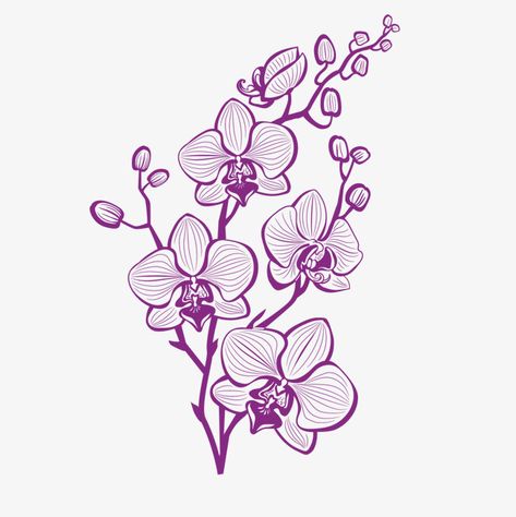 Orchid Flower Tattoo, Purple Orchid Tattoo, Orchid Flower Tattoos, Orchid Illustration, Orchid Drawing, Orchids Painting, Orchid Photography, Orchid Tattoo, Tattoo Vector