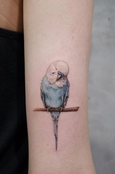 Budgie Tattoo, Parrot Tattoo, Budgie Bird, First Tattoo Ideas, Artwork Tattoo, Special Tattoos, Infinity Tattoos, Bird Tattoo, Cute Bird