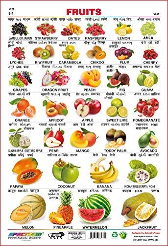 Spectrum Educational Wall Chart (Two-In-One) : ( Fruits & Vegetables ) ( In 4 Language : English , Hindi , Gujarati ,... Dry Fruits Names, Fruits And Vegetables Names, Vegetables Names With Pictures, Fruits Name, Science Formulas, Fruits And Vegetables List, Name Of Vegetables, Fruits Name In English, Vegetable Chart