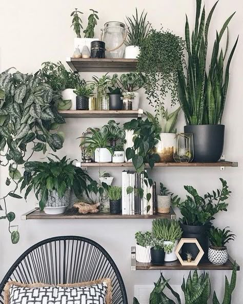 25+ Creative Ways To Arrange Your Indoor Plant Shelf | momooze.com Vertical Wall Planter Pots, Vertical Wall Planters, Deco Jungle, نباتات منزلية, Hiasan Bilik Tidur, Dekor Diy, Plant Decor Indoor, House Plants Decor, Room With Plants