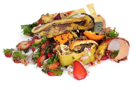 Food waste. A pile of food waste, such as eggshells and fruit and vegetable peel , #ad, #food, #eggshells, #pile, #Food, #waste #ad Food Waste Management, Food Waste Recycling, Food Wastage, Healthy Holistic Living, Fruit And Veggie, America Food, Social Experiment, Food Scraps, India Food