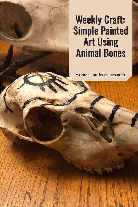 Makayla Scott creates a simple craft from painted bones. She collects skulls and other animal bones, then applies paint to create natural art. Folk Art Acrylic Paint, Whitetail Bucks, Apple Barrel, Bone Art, Simple Craft, Skull Painting, Deer Skulls, Animal Bones, Natural Art