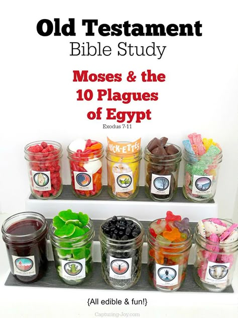 Exodus Plagues Craft, Moses Object Lesson, 12 Plagues Of Egypt Craft, Ten Plagues Activity, Bible Sensory Activities, Ten Plagues Craft, Moses Activities, Moses And The Plagues, Moses And The 10 Plagues