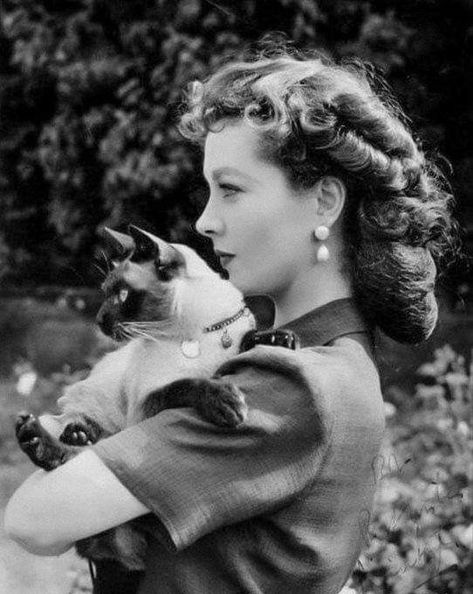 Vivien Leigh and friend 1940 Vivienne Leigh, Vivian Leigh, A Streetcar Named Desire, Scarlett O'hara, Laurence Olivier, Vintage Hollywood Glamour, International Cat Day, Old Hollywood Actresses, Theatrical Romantic