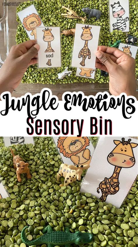 Emotions Sensory Bin, Jungle Sensory Bin, Rainforest Preschool, Preschool Jungle, Habitat Activities, Jungle Activities, Rainforest Activities, Toddler Sensory Bins, Rainforest Theme