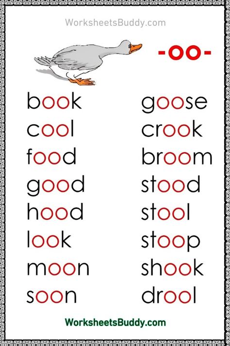 OO Word Family Worksheets - Free Download OO Words Printables In Pdf Oo Worksheets Free Printable, Oo Words Worksheet, Oo Words Reading Passage, Oo Sound Worksheets, Oo Phonics Worksheets, Oo Sound Words With Pictures, Words With Oo Sound, Short O Word Families, Oo Sound