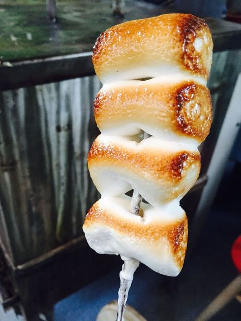 Roasted Marshmallow Aesthetic, Marissa Aesthetic, Marshmallow Pictures, Campfire Snacks, Roasted Marshmallow, Campfire Food, Roasting Marshmallows, Toasted Marshmallow, I Want To Eat