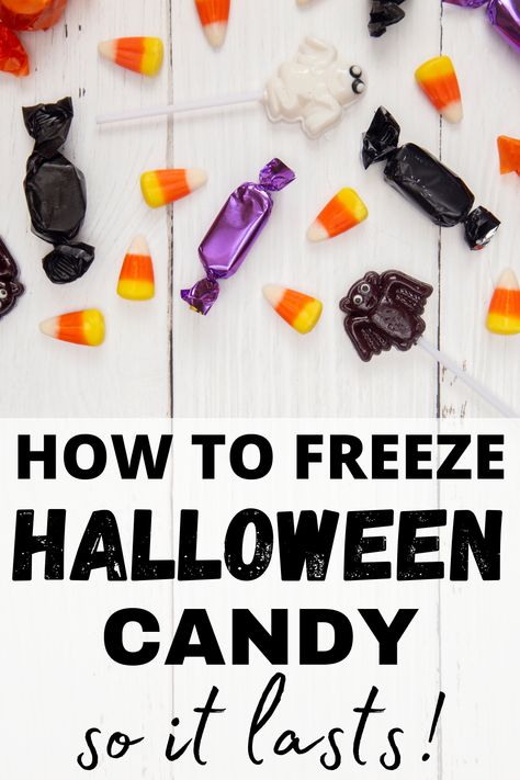 How to Freeze Halloween Candy so it will last way after Halloween night. Frozen Halloween, Halloween Snacks, Freeze Drying, Fall Aesthetic, Halloween Night, Halloween Candy, Halloween Ideas, Pumpkin Pie, Vegan Recipes