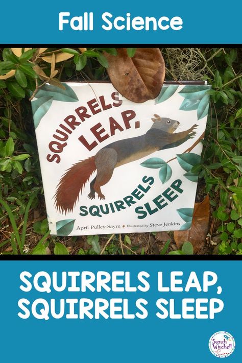 Are you looking for fall science activities? Squirrels Leap, Squirrels Sleep will give you a lot of great teaching ideas. This is a perfect book to build science literacy in your classroom. It is Parent's Choice Recommended book. Kindergarten, First Grade, Second Grade and Third Grade students will enjoy learning how squirrels use their tails to balance.  Students will learn about animal homes and what squirrels like to eat.  There are a lot of activities you can use in your classroom! Fall Science Activities, Animal Homes, Fall Science, Science Literacy, Animal Adaptations, Fall Lessons, Outdoor Education, Autumn Activities For Kids, Fall Preschool